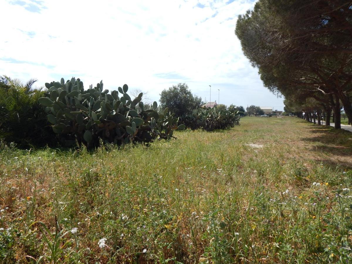 Turtle Island Apartments Santa Croce Camerina Buitenkant foto