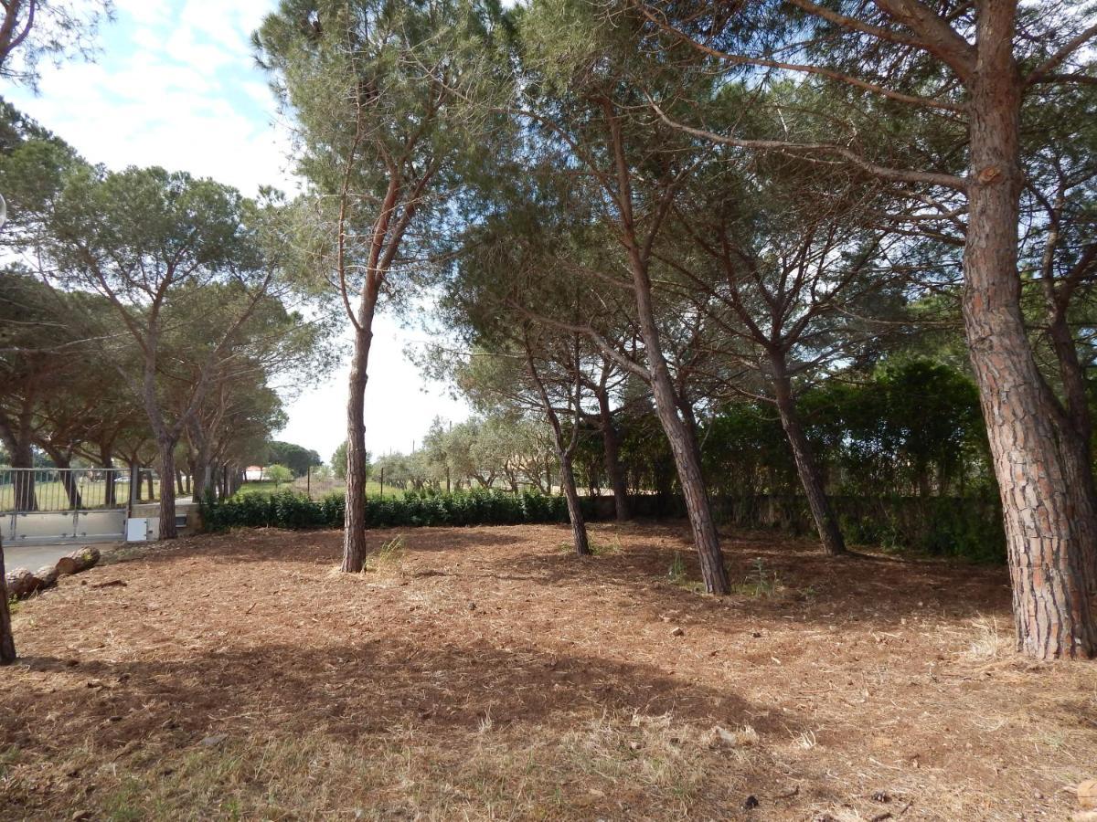 Turtle Island Apartments Santa Croce Camerina Buitenkant foto