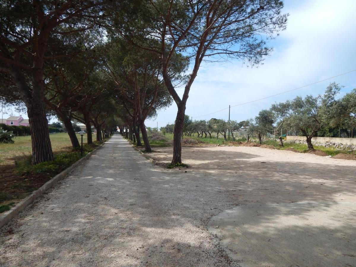 Turtle Island Apartments Santa Croce Camerina Buitenkant foto