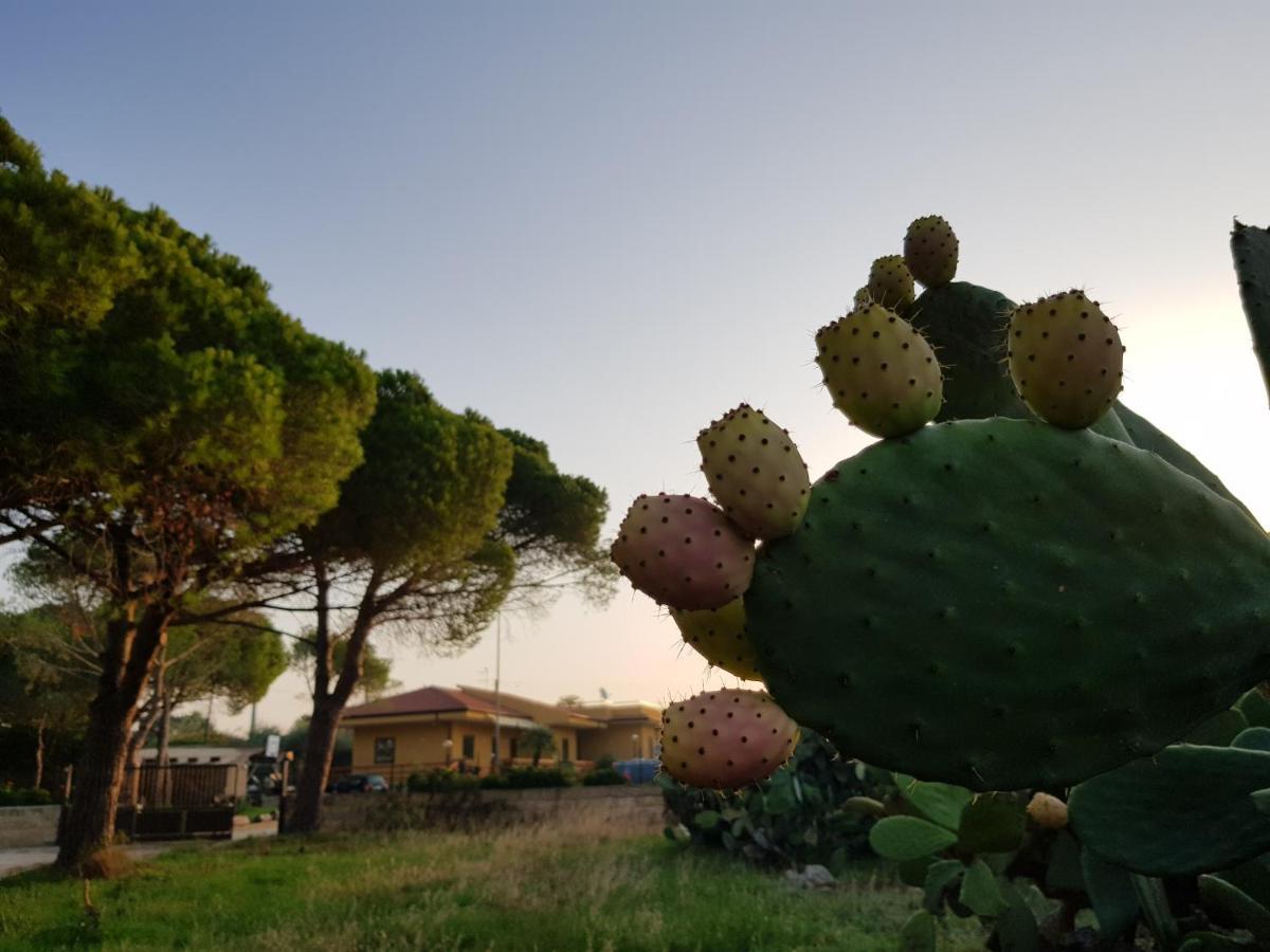 Turtle Island Apartments Santa Croce Camerina Buitenkant foto