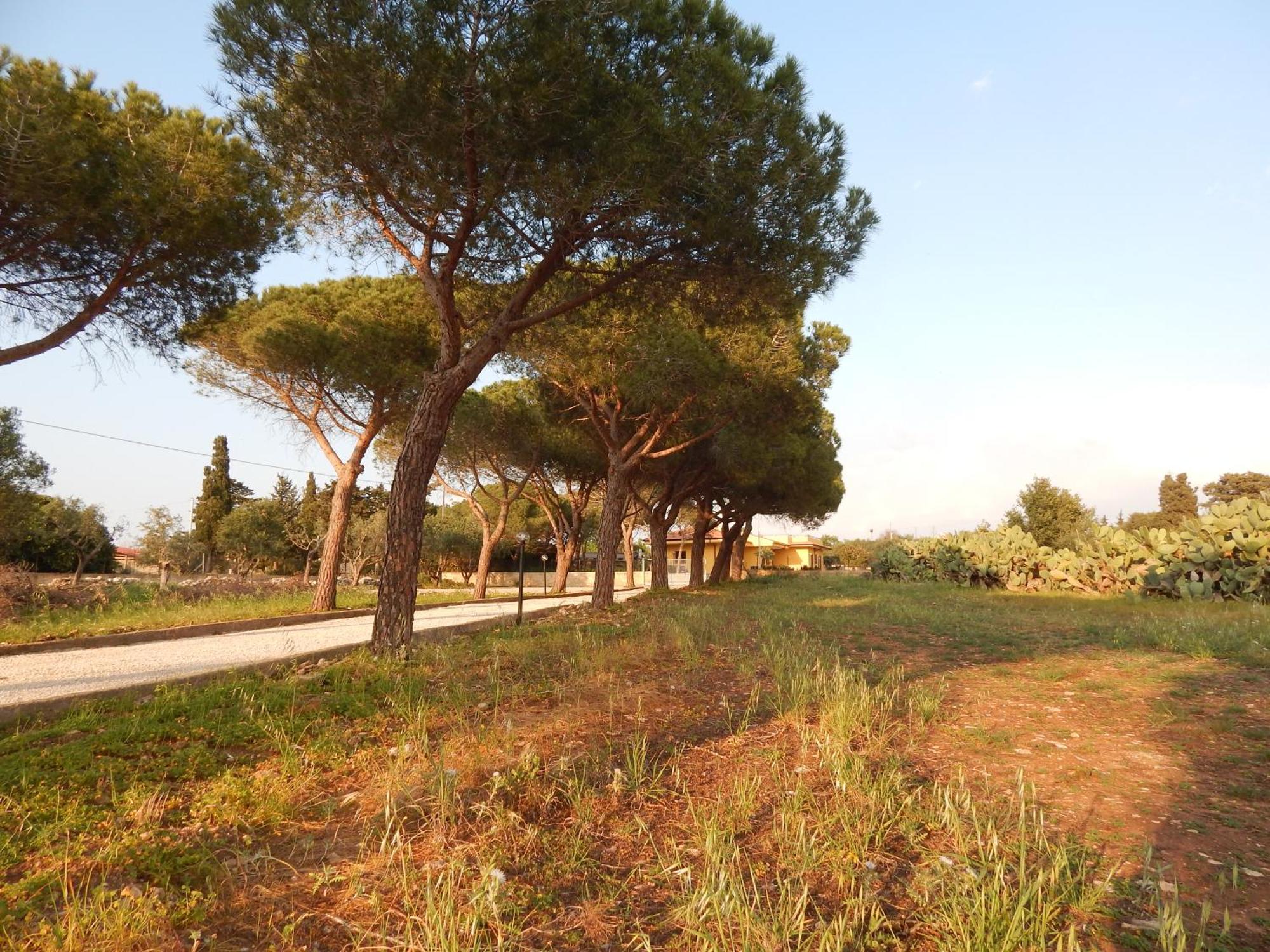 Turtle Island Apartments Santa Croce Camerina Buitenkant foto