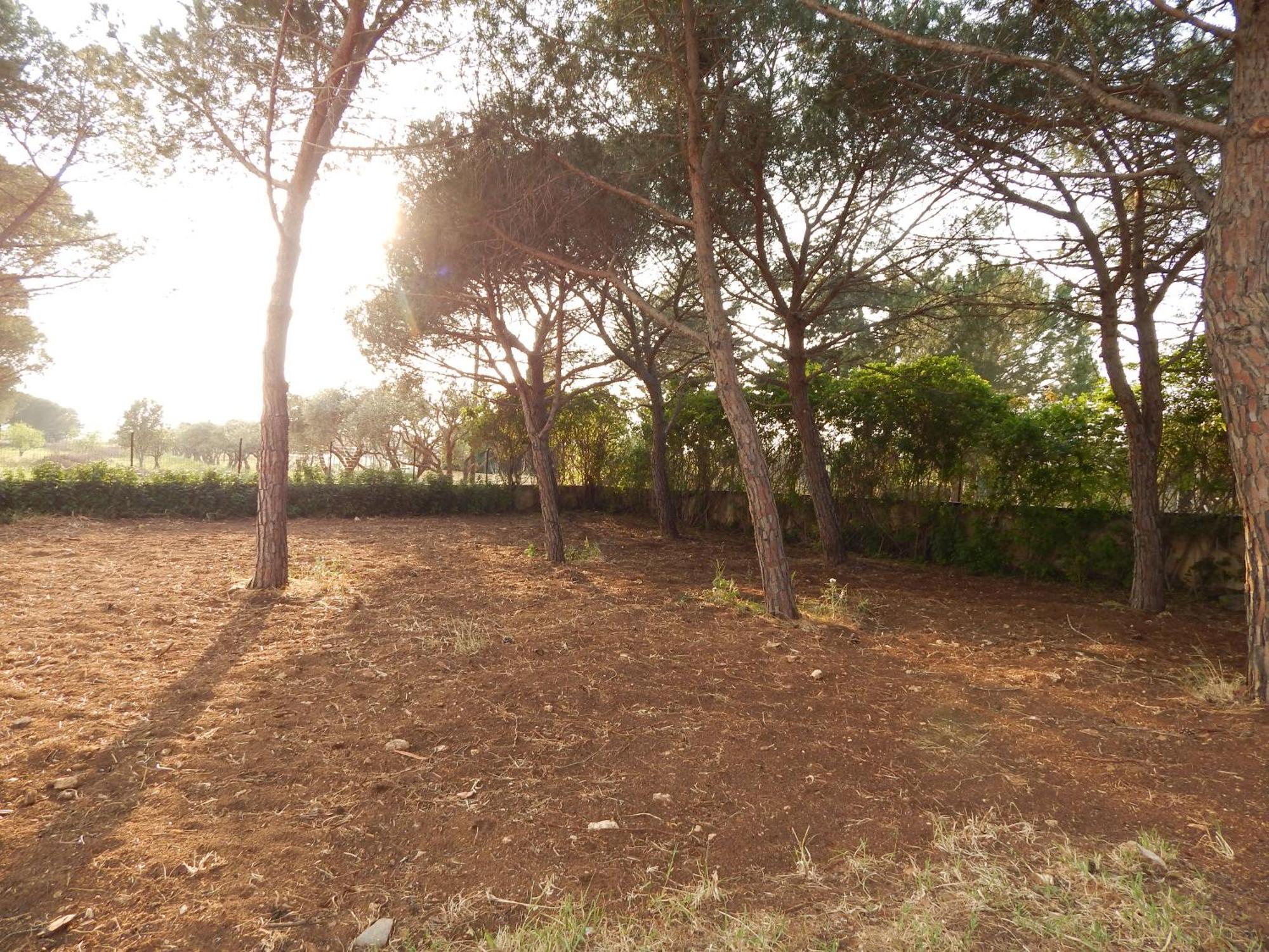 Turtle Island Apartments Santa Croce Camerina Buitenkant foto