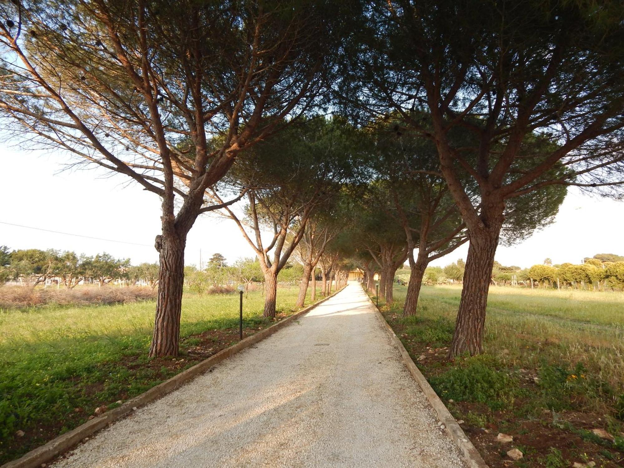 Turtle Island Apartments Santa Croce Camerina Buitenkant foto