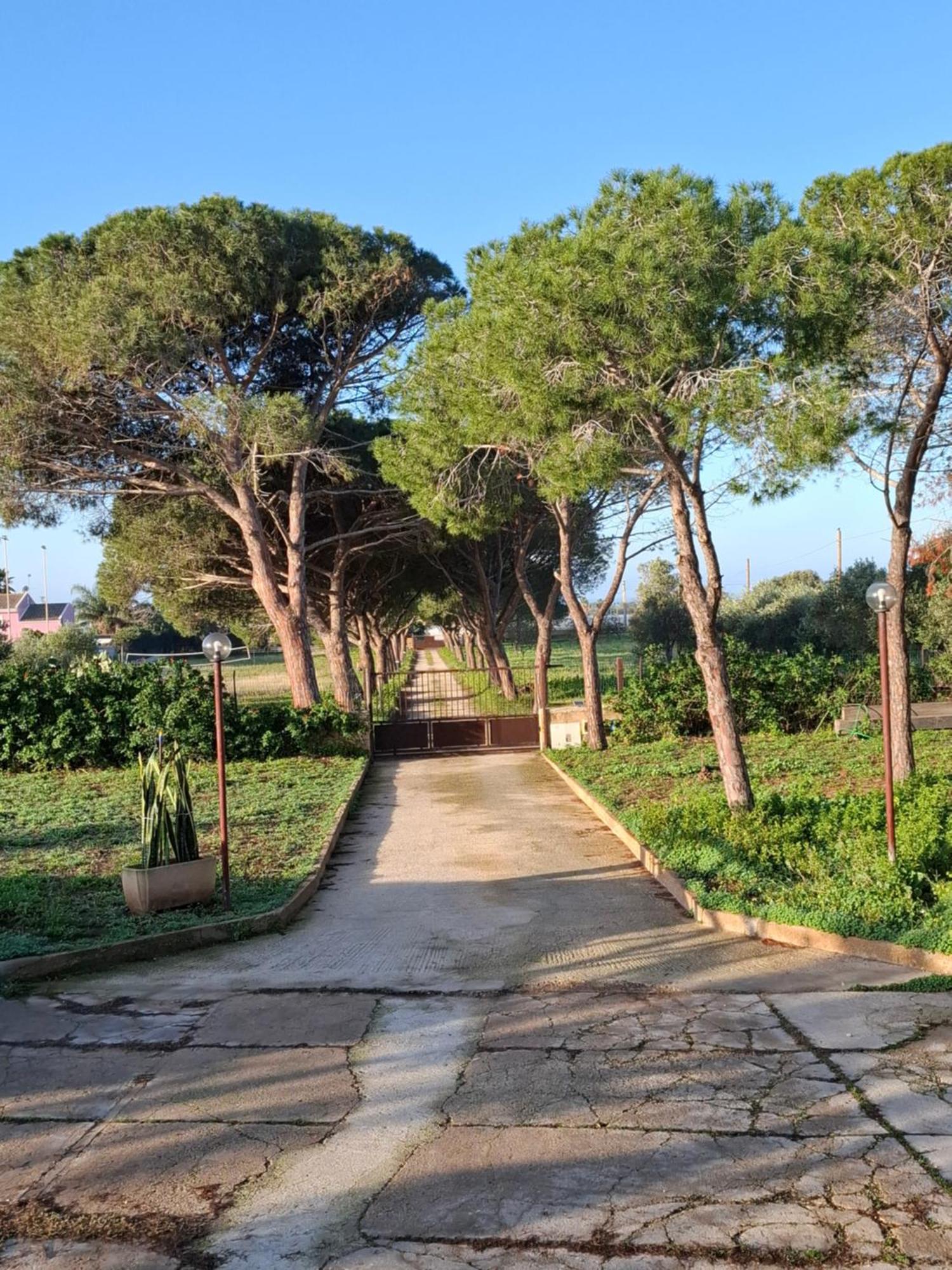 Turtle Island Apartments Santa Croce Camerina Buitenkant foto